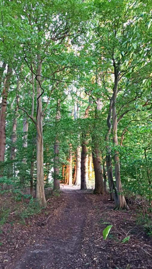 Herrenhaus Harmshagen Testorf-Steinfort Exteriér fotografie